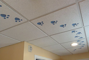 Best Acoustical Ceiling Tiles Henry County