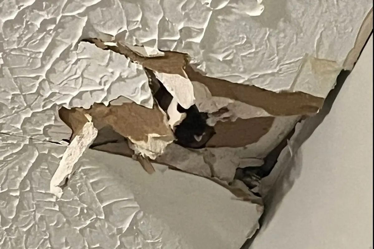 Best Drywall Service Fulton